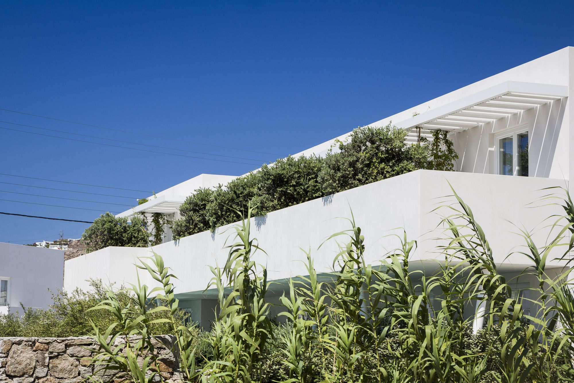 Mykonos Dove Beachfront Hotel Platis Yialos Extérieur photo